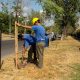 El municipio avanza con la plantación de árboles en barrios de todos los distritos